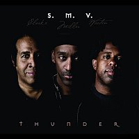 Stanley Clarke & Marcus Miller & Victor Wooten – Thunder