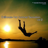 Různí interpreti – Chillhouse Hot Summer Sensation Vol.2