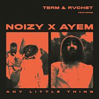 Term & Rvchet, Noizy, Ay Em – Any Little Thing