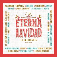 Různí interpreti – Eterna Navidad Celebremos