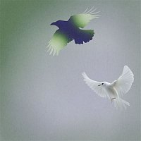 Přední strana obalu CD Shallow Water