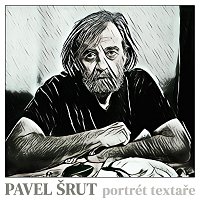 Různí interpreti – Pavel Šrut - portrét textaře