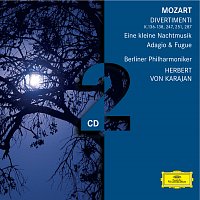 Přední strana obalu CD Mozart: Divertimenti