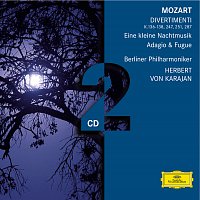 Přední strana obalu CD Mozart: Divertimenti