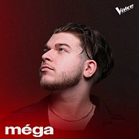 The Voice, Méga – Troubadour