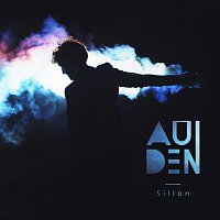 AuDen – Sillon