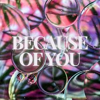 Caidoryn – Because of You
