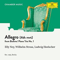 Elly Ney, Wilhelm Stross, Ludwig Hoelscher – Brahms: Piano Trio No. 1 In B, Op. 8: IV. Allegro