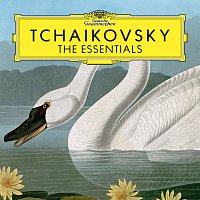 Různí interpreti – Tchaikovsky: The Essentials