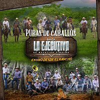 Banda La Ejecutiva De Mazatlán Sinaloa – Puras De Caballos En Vivo Desde El Rancho