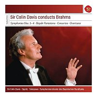 Přední strana obalu CD Brahms: The 4 Symphonies & Haydn Variations & Piano Concertos