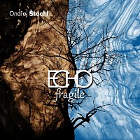 Různí interpreti – Echo fragile