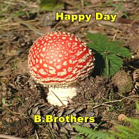 B.Brothers – Happy Day