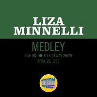 Liza Minnelli – Goodbye Blues / When The Midnight Choo-Choo Leaves For Alabam / Alabamy Bound [Medley / Live On The Ed Sullivan Show, May 24, 1964]