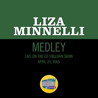 Goodbye Blues / When The Midnight Choo-Choo Leaves For Alabam / Alabamy Bound [Medley / Live On The Ed Sullivan Show, May 24, 1964]