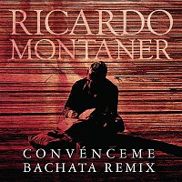 Ricardo Montaner – Convénceme (Bachata Remix)