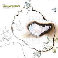 The New Amsterdams – Story Like a Scar