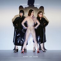 Sleater-Kinney – Hurry On Home