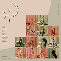 SEVENTEEN – Maiochiruhanabira (Fallin' Flower)