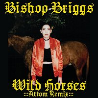 Bishop Briggs – Wild Horses [Attom Remix]