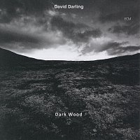 David Darling – Dark Wood