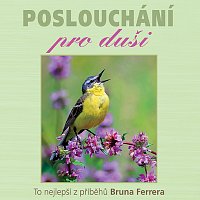 Simona Postlerová – Ferrero: Poslouchání pro duši (MP3-CD)