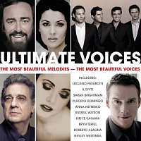 Přední strana obalu CD Ultimate Voices