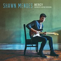 Shawn Mendes – Mercy [Acoustic Guitar]