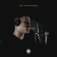 Dof Twogee, TSE – VESVI