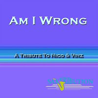 Saxtribution – Am I Wrong - A Tribute to Nico & Vinz