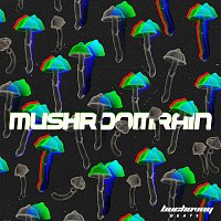 Buchovny beats – Mushroom Rain