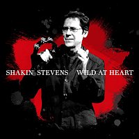 Shakin Stevens – Wild At Heart (Neros Single Version)