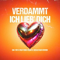BIG TIM, Matthias Reim, Sebastian Bronk – Verdammt Ich lieb' dich
