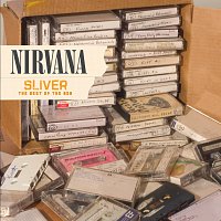 Nirvana – Sliver - The Best Of The Box MP3