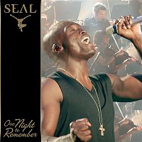 Seal – One Night To Remember