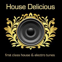 Různí interpreti – House Delicious