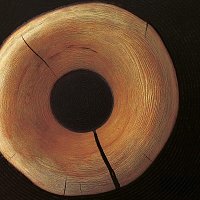 Přední strana obalu CD ma wü vü