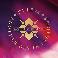 Di Leva – Another Day In Paradise [Bassflow Remake]