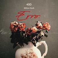 40D, Milton Gulli – ERRO.