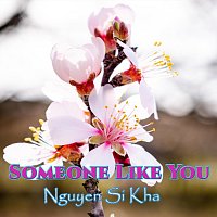 Přední strana obalu CD Someone Like You