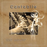 Symphonic wind orchestra Stadtmusikkapelle Landeck, Saskia Roczek – Cantabile