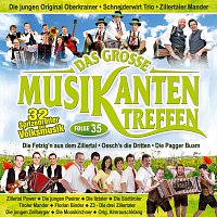 Přední strana obalu CD Das grosze Musikantentreffen - Folge 35
