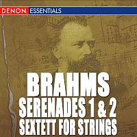 Různí interpreti – Brahms: Serenade Nos. 1 & 2 - Sextett for Strings 1 & 2