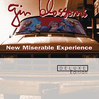Přední strana obalu CD New Miserable Experience