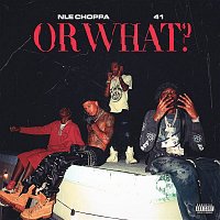 NLE Choppa, 41 & Kyle Richh – Or What