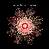 Alpha Galates – Standing