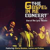 Various  Artists – The Gospel In Me Concert Vol. 1