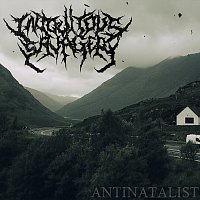 Přední strana obalu CD Antinatalist