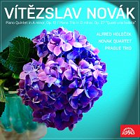 Přední strana obalu CD Novák: Klavírní kvintet a moll, Trio Quasi una Ballata d moll