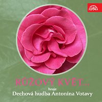 Dechová hudba Antonína Votavy – Růžový květ....Hraje Dechová hudba Antonína Votavy MP3